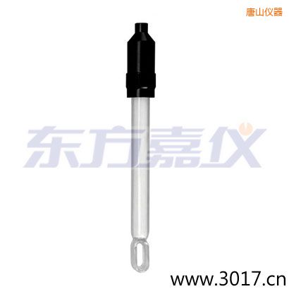 唐山無溫補兩線電導(dǎo)率電極