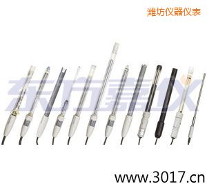 濰坊離子選擇性電極